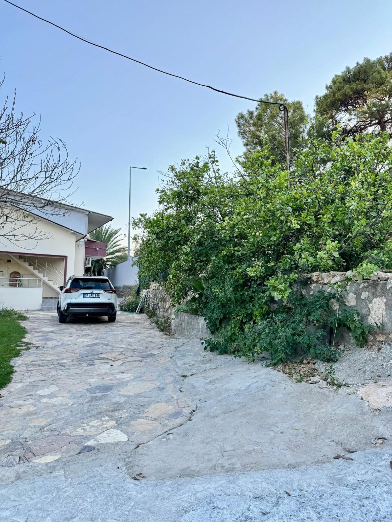 Rose Hotel B&B Patara Buitenkant foto