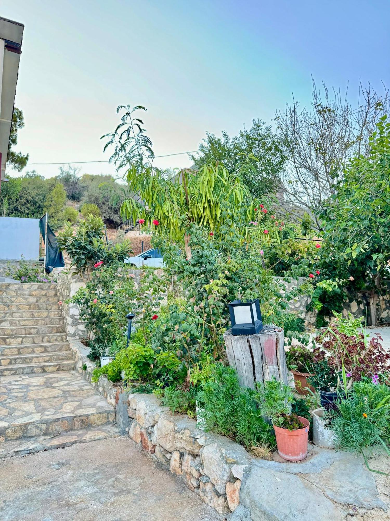 Rose Hotel B&B Patara Buitenkant foto