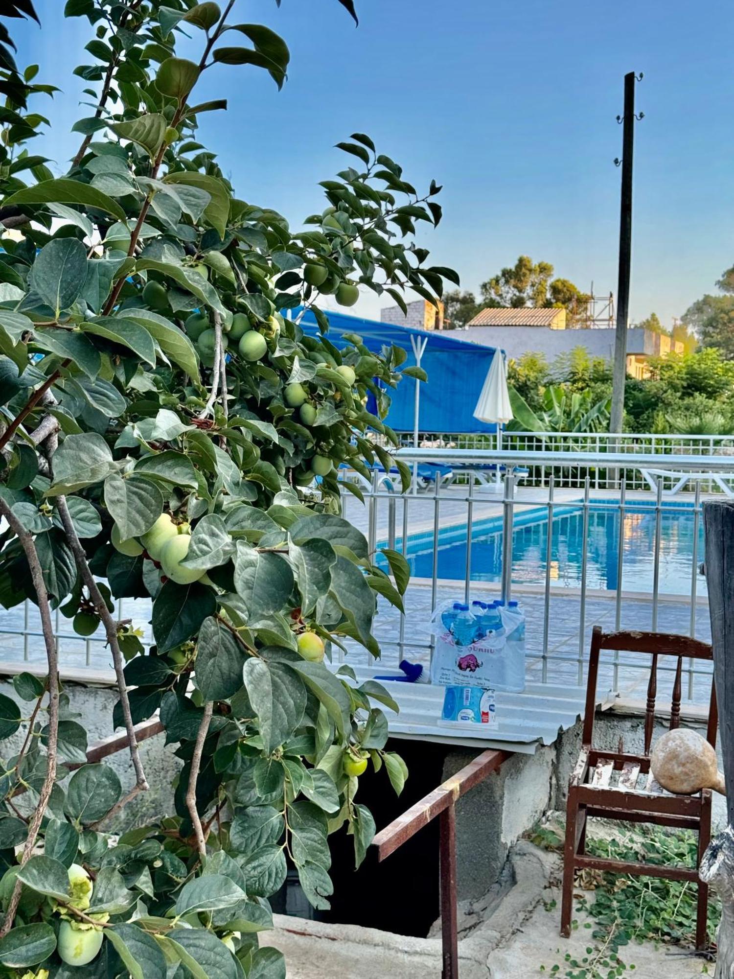 Rose Hotel B&B Patara Buitenkant foto