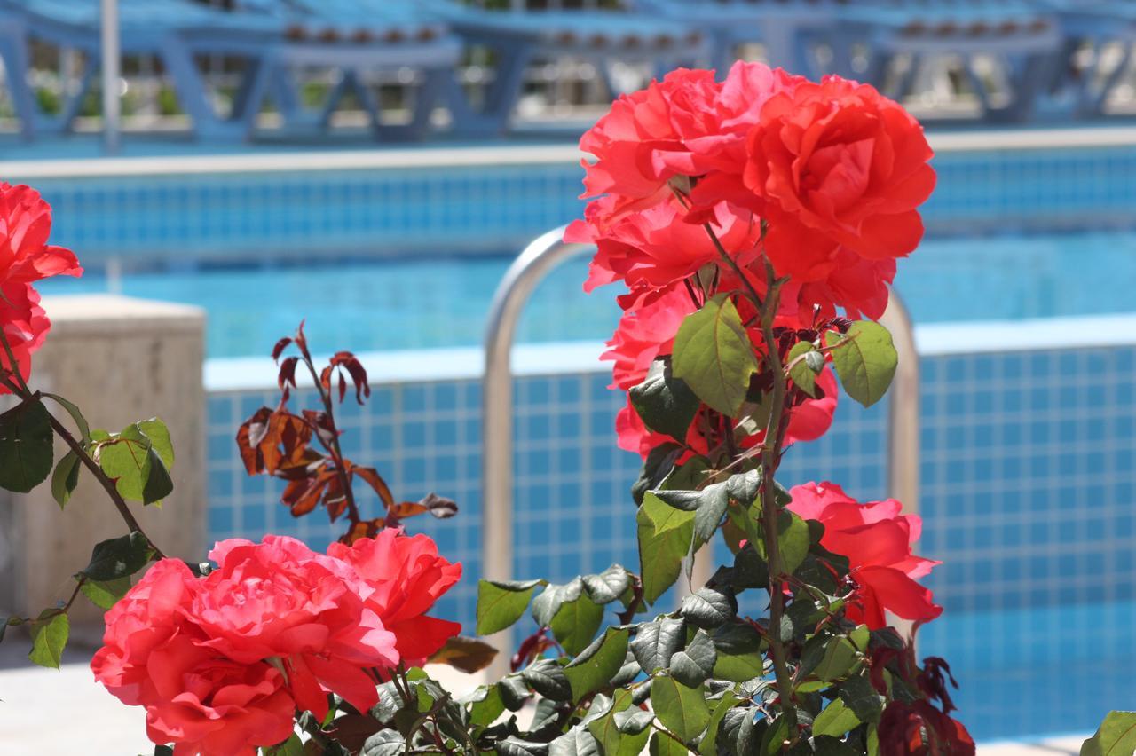 Rose Hotel B&B Patara Buitenkant foto